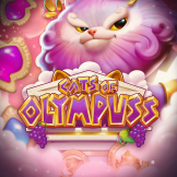 Cats of Olympuss logotipas