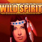 Wild Spirit logotipas