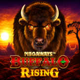 Buffalo Rising Megaways logotipas