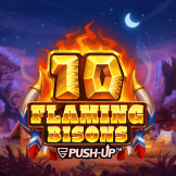10 Flaming Bisons logotipas