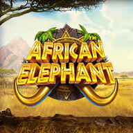 African Elephant logotipas