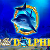 Wild Dolphin logotipas