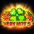 Very Hot 5 logotipas