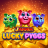 J Mania Lucky Pigs logotipas