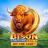 Bison Fortune Coins logotipas