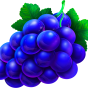 Grape paveikslėlis