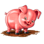 Pig paveikslėlis