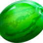 Watermelon paveikslėlis