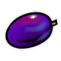 Plum paveikslėlis