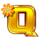 Q paveikslėlis