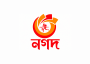 Nagad logotipas