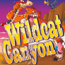 Wild Cat Canyon logotipas