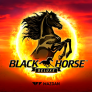 Black Horse Deluxe logotipas