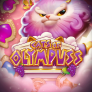 Cats of Olympuss logotipas