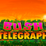 Bush Telegraph logotipas