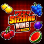 777 Sizzling Wins 5 Lines logotipas