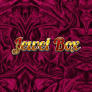 Jewel Box logotipas