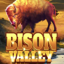 Bison Valley logotipas
