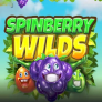 Spinberry Wilds logotipas