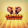 Elephant Stampede logotipas