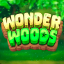 Wonder Woods logotipas