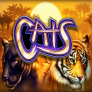 Cats logotipas