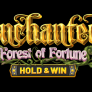 Enchanted: Forest of Fortune logotipas
