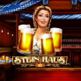 Stein Haus logotipas