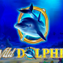 Wild Dolphin logotipas