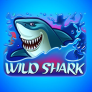 Wild Shark logotipas