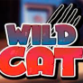 Wild Cat logotipas