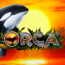 Orca logotipas