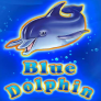 Blue Dolphin logotipas