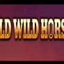 Wild Wild Horses logotipas