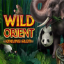 Wild Orient logotipas