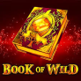 Book of Wild logotipas