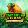Emerald Bisons PrizeMatch logotipas