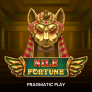 Nile Fortune logotipas