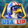 USA Flip logotipas