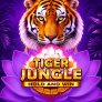 Tiger Jungle Hold and Win logotipas