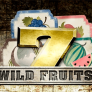WildFruits logotipas