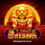 5 Lions Reborn logotipas