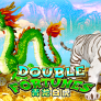 Double Fortune logotipas