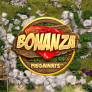 Bonanza MEGAWAYS logotipas
