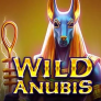 Wild Anubis logotipas