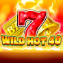Wild Hot 40 logotipas