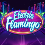 Electric Flamingo logotipas
