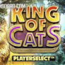 King of Cats logotipas