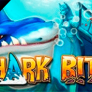Shark Bite logotipas