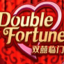 Double Fortune logotipas